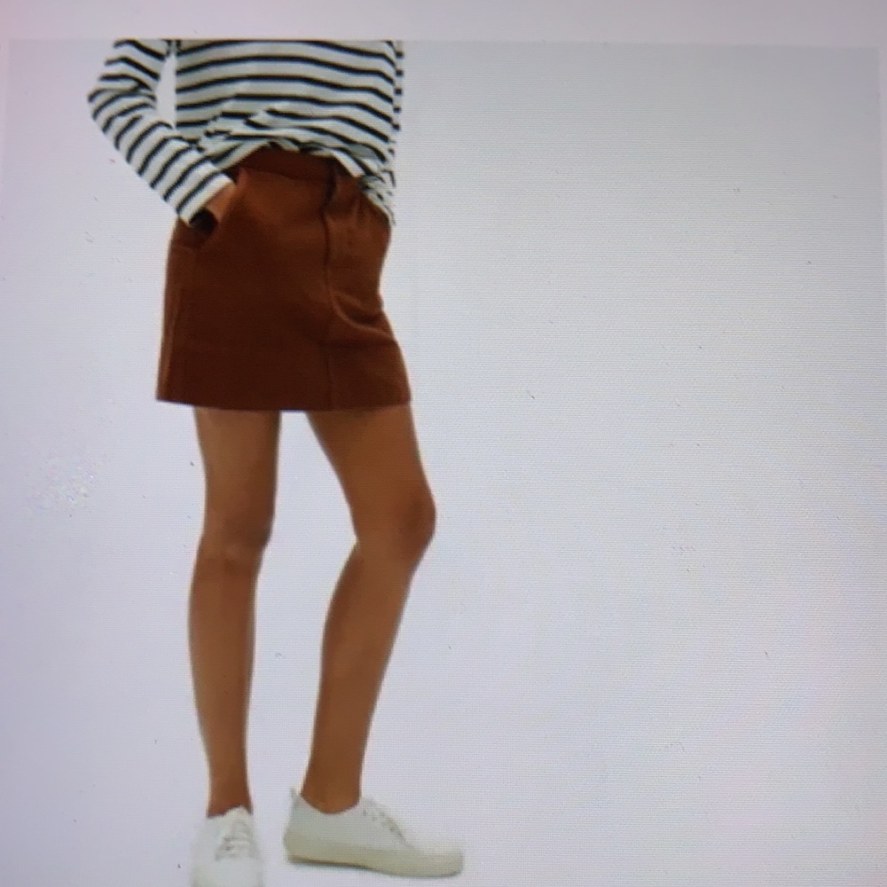 Everlane Canvas Stamp Mini Skirt 6
